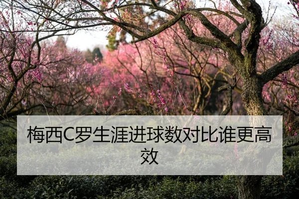 梅西C罗生涯进球数对比谁更高效