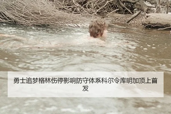 yong-shi-zhui-meng-ge-lin-shang-ting-ying-xiang-fang-shou-ti-xi-ke-er-ling-ku-ming-jia-ding-shang-shou-fa-2-997.jpg